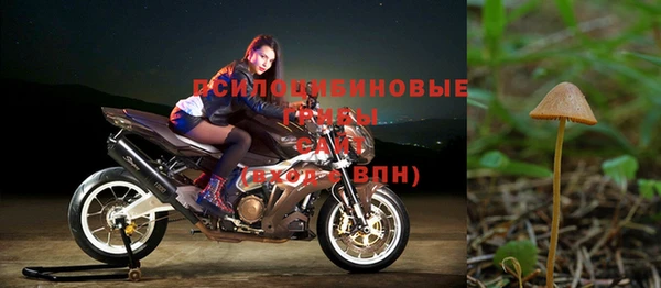 прущие крисы Заволжье